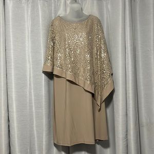 Gorgeous Evening Dress